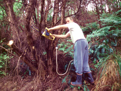 A robust approach to gardening is sometimes required