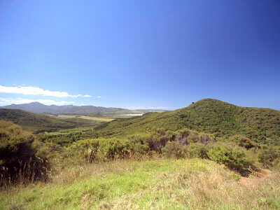 View of Kaitoke north from Tree Farm