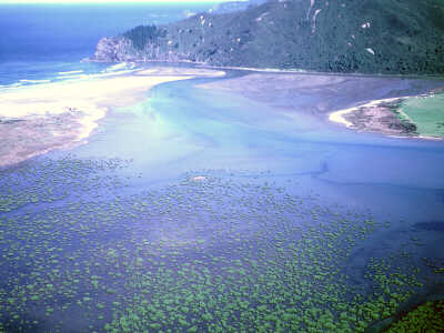 Whangapoua Beach and Creek, Okiwi Airfield